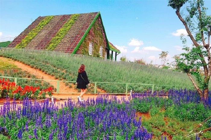 Tour Đà Lạt 3 Ngày 2 Đêm – Ghép Đoàn